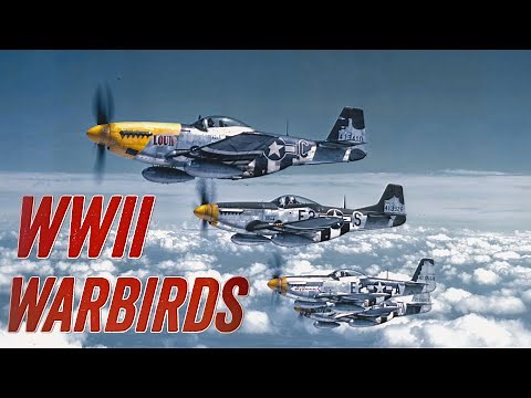 The UNSTOPPABLE Air Force That Broke The Axis During World War 2