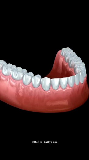 6.7K views · 88 reactions | Blood Supply Of Teeth | Dental Root Anatomy | X-ray View | Medically Correct 3D Animation | Dental Daily | Facebook