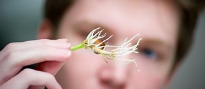 Environmental Science A Level