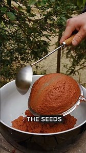 Turning poisonous berries into a sweet paste