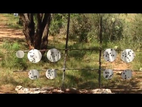 Sig Sauer SP 2022: Problem Resolved