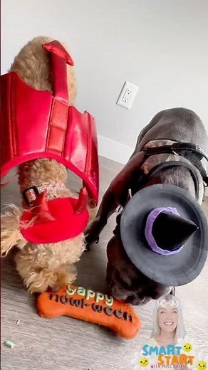 DIY Witch Hat for Kids (and Puppies!) 🎃🧙‍♀️ Paper Plate Craft