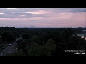 Trempealeau Eagles 8-15-25 Beautiful scenery as cam operator hunts for TE3