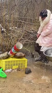 Catch fish Part 202 | Catch fish