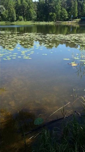 This Hidden Lake in Riga Looks Like Paradise 🌿💙