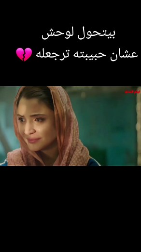 فيلم سلطان: رحلة المصارعة والحب