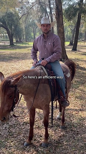 Neck reining hack. | Ryan Rose