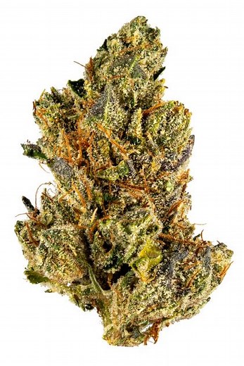 Fire OG Strain - Hybrid Cannabis Review, 20.0% THC,0.2% CBD,6.3mg/g Alpha Pinene