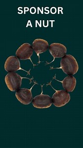 66K views · 469 reactions | This summer, we’re aiming to produce...