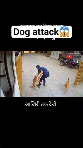 Rabid Dog Attacks Security Guard | Shocking Incident ⚠️