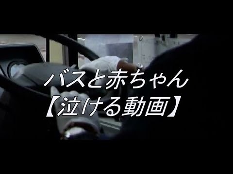 バスと赤ちゃん【泣ける動画】