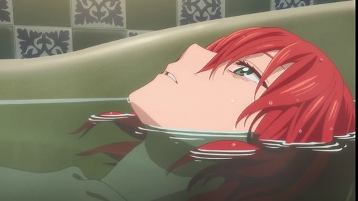 The Ancient Magus' Bride (TV Series 2017–2023)