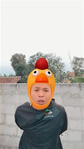 chicken and duck laughing sounds #funny #shortvideo
