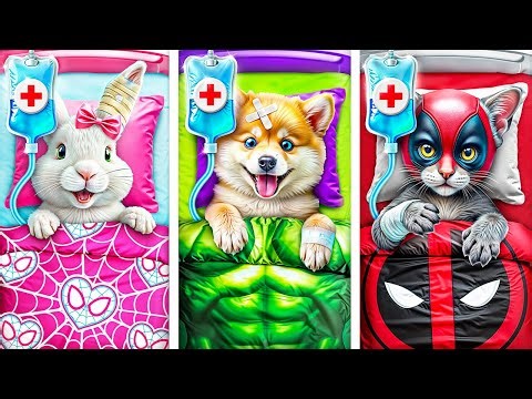 Extreme Pet Rescue! Secret Life Hacks for Pet Owners