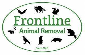 Animal Proofing | Decks | Sheds | Foundations | Wire Mesh