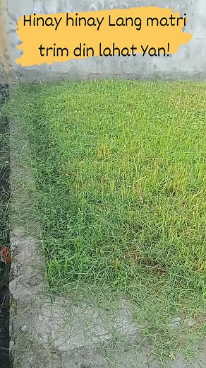 Grass cutting done!#fyp | Daniel Vlg