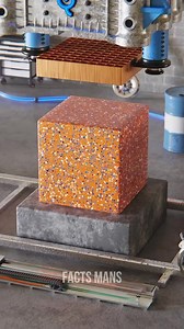 1.1M views · 4.9K reactions | RIZZ APP Random Facts #reelsinstagram #rizzapp #facts #DidYouKnow #factsdaily #didyouknowfacts | Facts man | Facebook