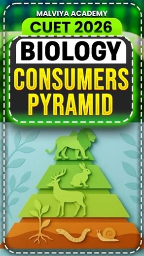 Consumer Pyramid 🔺 CUET 2026 Biology | cuet 2026 preparation #cuet #biology #shorts
