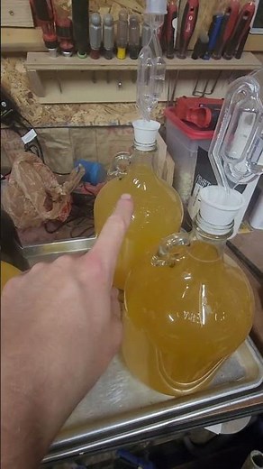 Making Hard Cider rack off day 3?