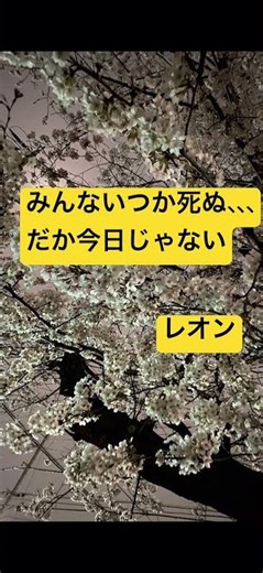 映画「レオン」より#名言集#名言 #格言#ことわざ