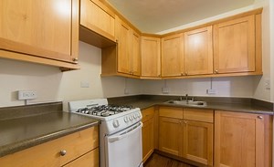Waikiki Apartments for Rent with a Dog Park - Honolulu, HI - Updated Today | Apartments.com