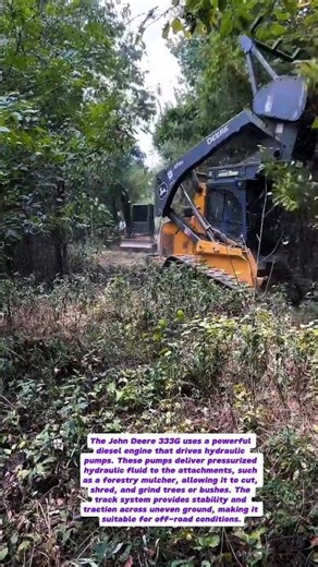 Unstoppable Power! John Deere 333G Clearing Dense Forest Like a Beast 🌲💪