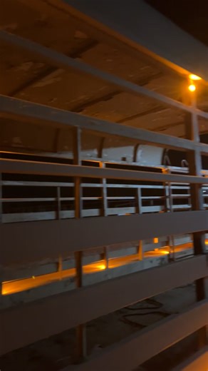 Understanding Chicken Lights and Their Impact