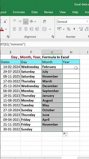 Learn DAY, MONTH & YEAR Functions in Excel #exceltutorial