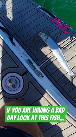 “Epic Fish Fail: The Great Escape Gone Wrong!” #fishing #fail