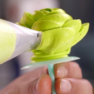 2.9M views · 4.2K reactions |  HƯỚNG DẪN BẮT HOA MAI & HOA MAO LƯƠNG...