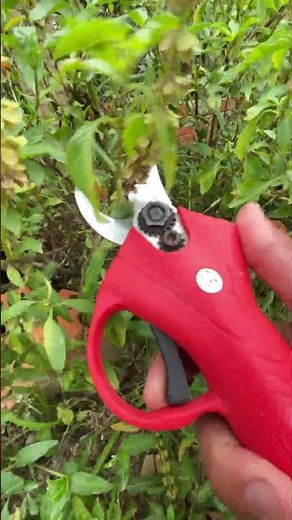 electric scissors easy use save time #tool P6528