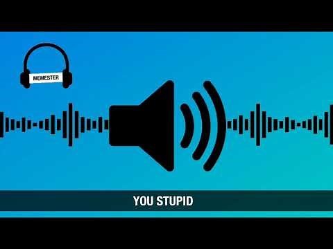 You stupid meme sound effect