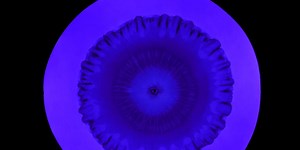 Just a Drop: Chromatography and the Tiniest Entities