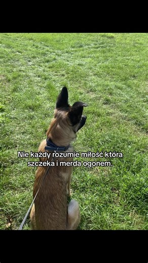 @🌸✧𝓤𝓽𝓪𝓶𝓪𝓻𝓸𝓾✧🌸 @🍂🥀🍄‍🟫Maślana🍄‍🟫🥀🍂 @🥏♡ | Elmo | ♡ 🥏 @Tytan @🍂🍁🕸✧𝓔𝓭𝓰𝓪𝓻 ✧🕸🍁🍂 @🍁🎃★♕𝑲𝒐𝒓𝒂♕★🎃🍁 #foryou #kundel #dc #piesnajlepszyprzjaciel #fyp