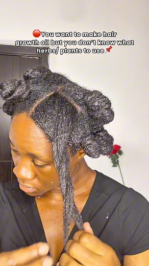 232K views · 2.8K reactions | Here are 3 herbs/ plants I always use in my homemade for healthy hair and guaranteed growth.You can always count on herbs and plants for your homemade products because they are easy to make, very beneficial for the hair, and affordable. You are sure of the contents of your product when you make it, and you find some of these herbs and plants anywhere.#hairgrowthoil #healthyhairjourney #hairgrowthjourney #haircareroutine #Hairgrowthtips | Eveh | Facebook