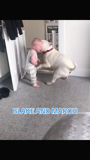 Throwback to Precious Moments with Blake and March