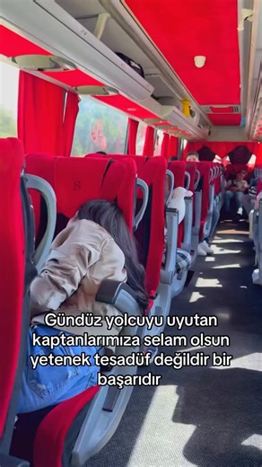 American bus driver who sleeps his passengers during daytime