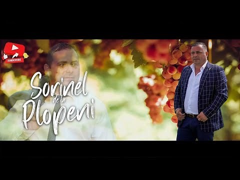 Mix Muzică de Petrecere 2024: Cele Mai Tari Hituri de la Sorinel de la Plopeni