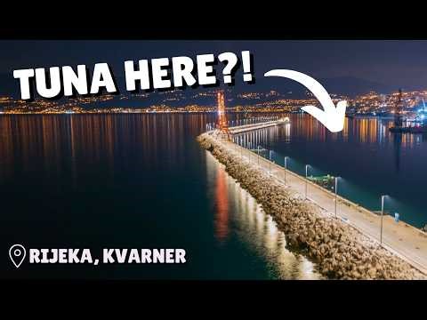 Sunrise albacore fishing from the pier in Rijeka - Kvarner, Croatia