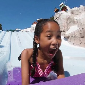 55 reactions | Plunge into two Water Parks drenched in Disney and discover magic in every drop. | Walt Disney World | Facebook