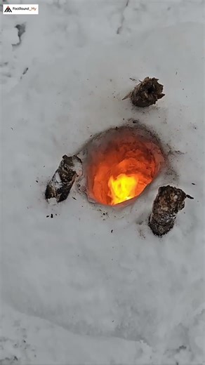 Winter Survive Hack 🌊| #facts #ice