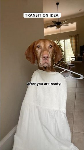 Can someone try this???#foryou #trend #fypシ #shortvideo