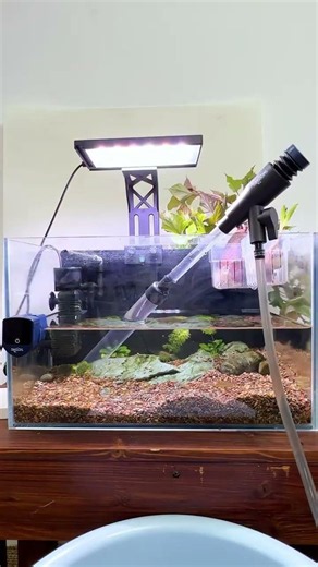 Seaoura SR-527 Gravel Siphon | Deep Clean + Water Change Process\r\r#Seaoura #aquarium #fish