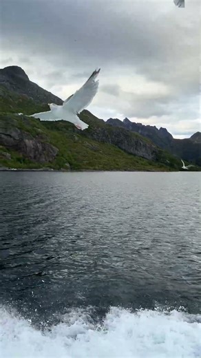 Norway's Coastal Express Is Magical!