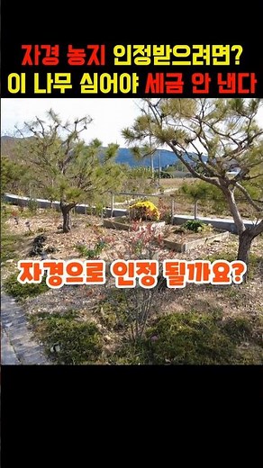 농지에 나무를 심어두는 것이 자경(직접 경작)으로 인정되는지?