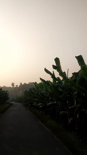 Jaseem Akram (@jaseem_akram2)’s videos with original sound - 𝕊𝕒𝕜𝕖𝕖𝕣 ℍ𝕦𝕤𝕒𝕚ℕ👹