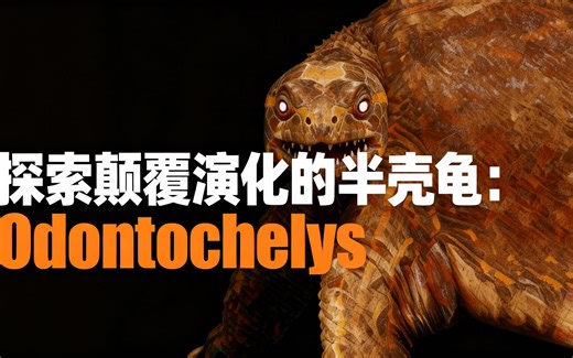 [中配]探索颠覆演化的半壳龟：Odontochelys - ExtinctDoc