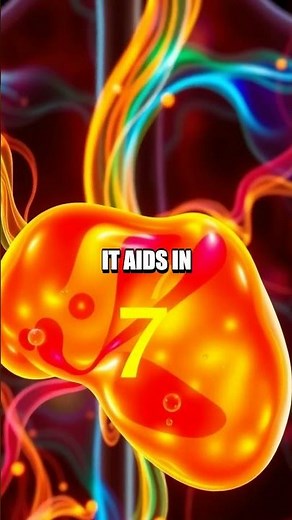 Pathway of Omega-7 and Its Unique Benefits