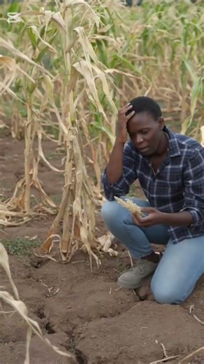 La vérité choquante cachée derrière les belles réussites agricoles #agribusiness #agrifuture