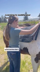 67K views · 815 reactions | Learning to fit your saddle pad and...